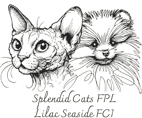 Lilac Seaside Kennel logo